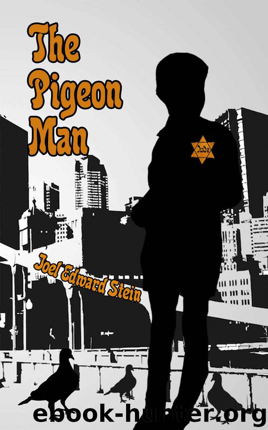 The Pigeon Man by Joel Edward Stein