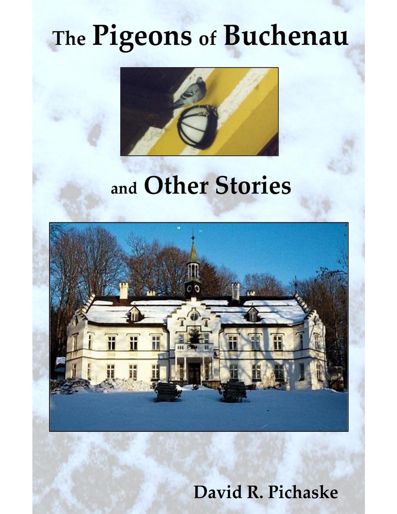 The Pigeons of Buchenau and Other Stories by David R. Pichaske