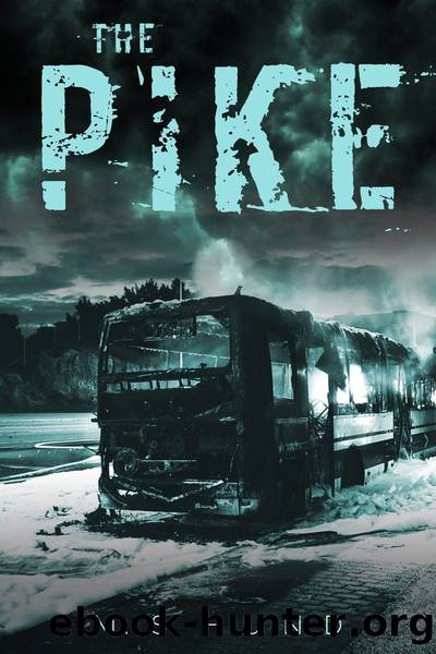 The Pike by M.S. Hund