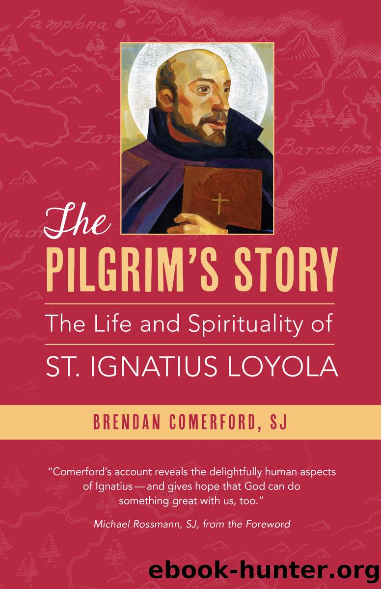 The Pilgrim's Story by Brendan Comerford
