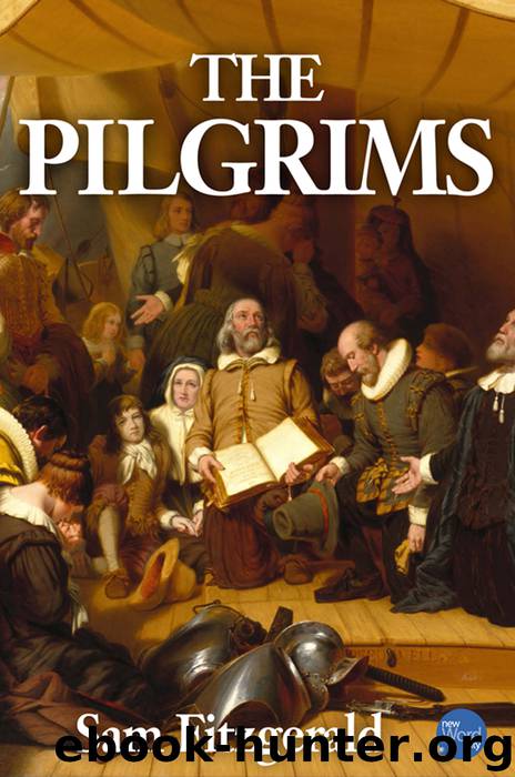 The Pilgrims by Sam Fitzgerald