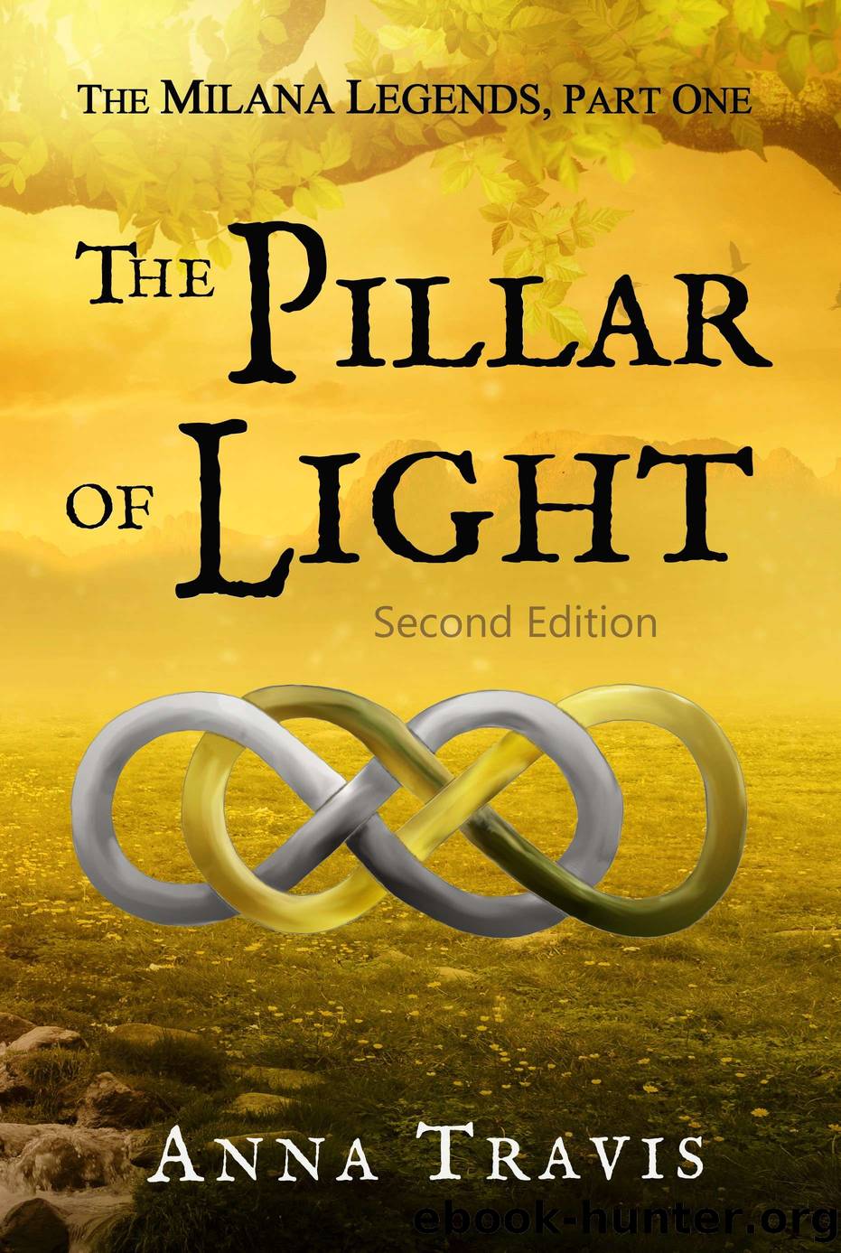 The Pillar of Light by Anna Travis