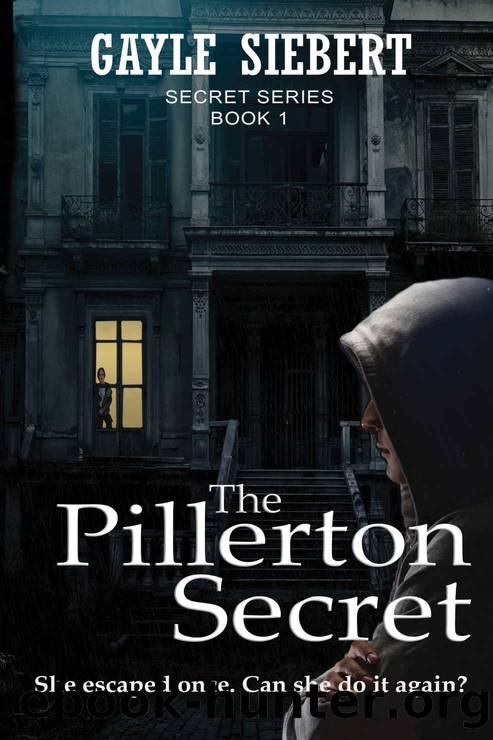 The Pillerton Secret by Gayle Siebert