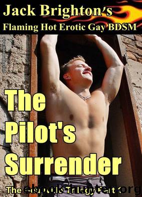 The Pilot's Surrender (Flaming Hot Erotic Gay BDSM) by Jack Brighton