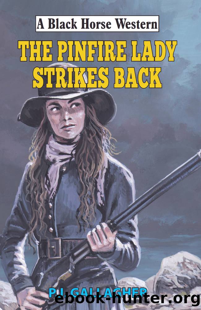 The Pinfire Lady Strikes Back by P. J. Gallagher