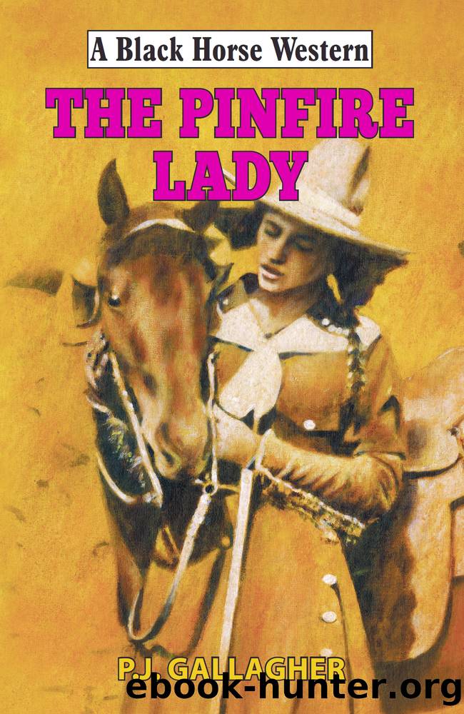 The Pinfire Lady by PJ Gallagher