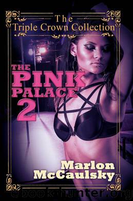 The Pink Palace 2 by Marlon McCaulsky