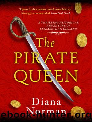 The Pirate Queen by Unknown