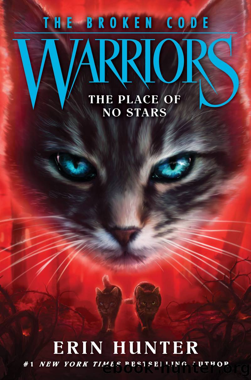 The Place of No Stars by Erin Hunter
