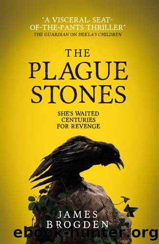 The Plague Stones by James Brodgen