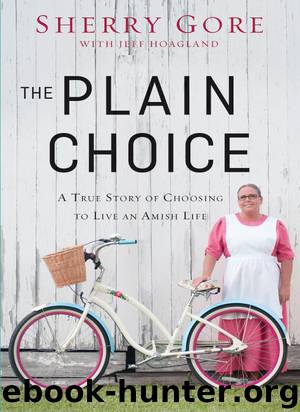 The Plain Choice by Sherry Gore