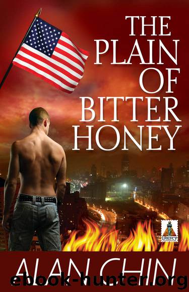 The Plain of Bitter Honey by Alan Chin