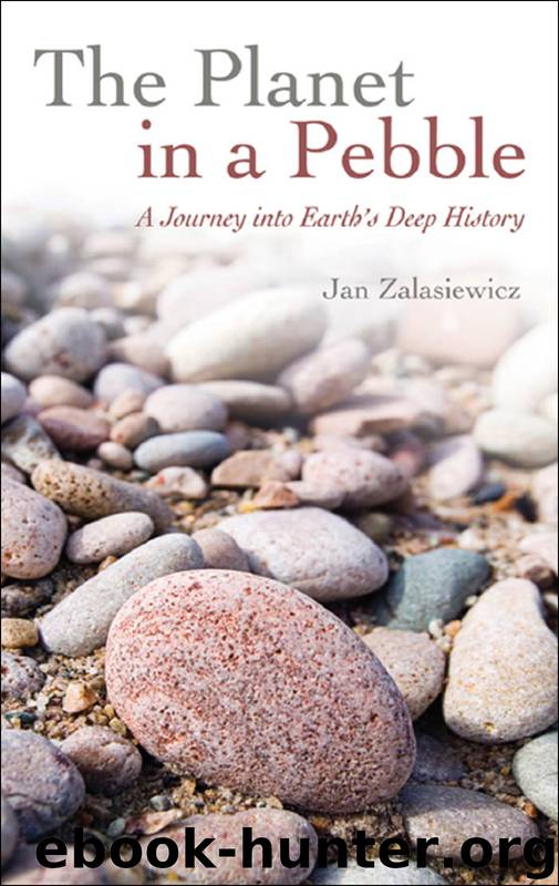 The Planet in a Pebble by Zalasiewicz Jan;