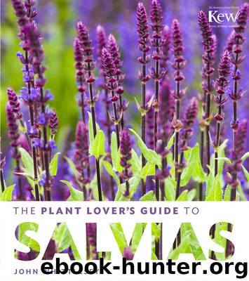 The Plant Lover's Guide to Salvias by John Whittlesey