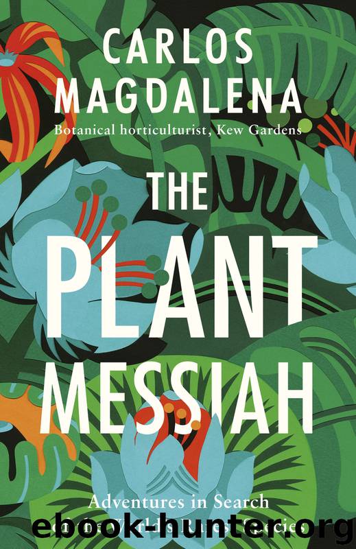 The Plant Messiah by Carlos Magdalena