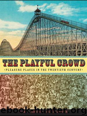 The Playful Crowd by Gary Cross