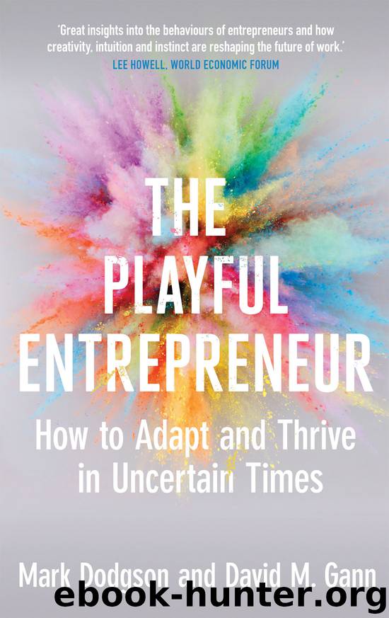 The Playful Entrepreneur by Mark Dodgson
