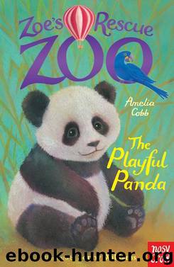 The Playful Panda by Amelia Cobb