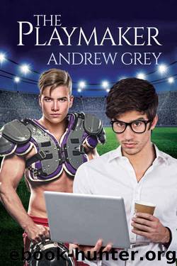 The Playmaker by Andrew Grey