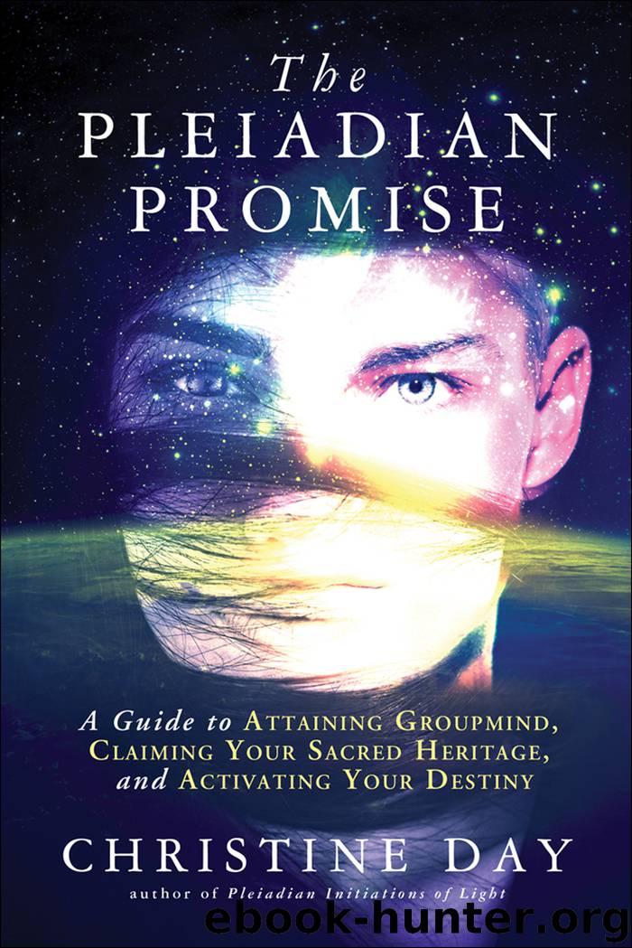 The Pleiadian Promise by Christine Day