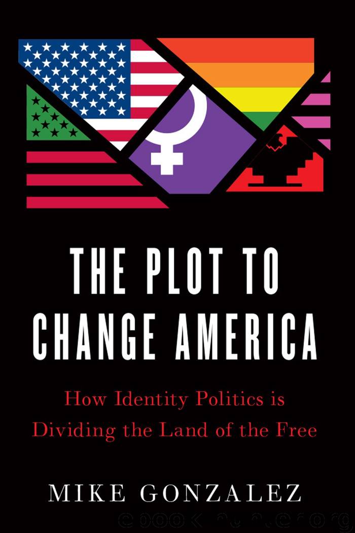 The Plot to Change America: How Identity Politics Is Dividing the Land of the Free by Mike Gonzalez