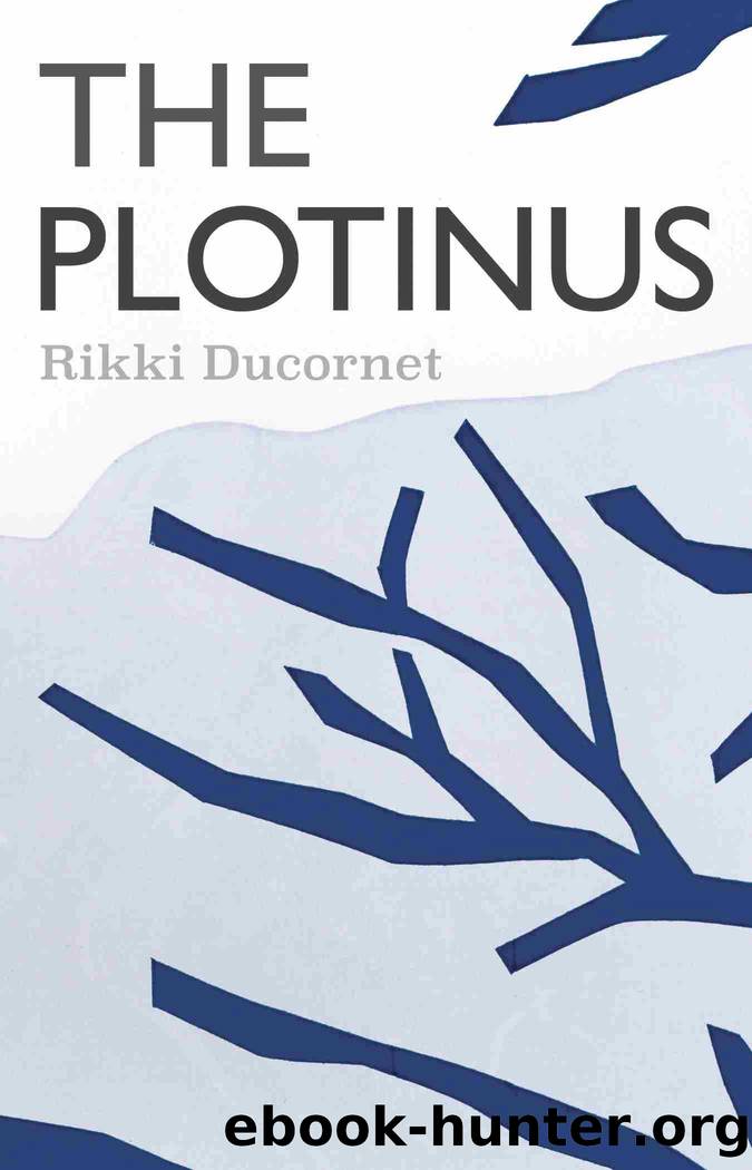 The Plotinus by Rikki Ducornet