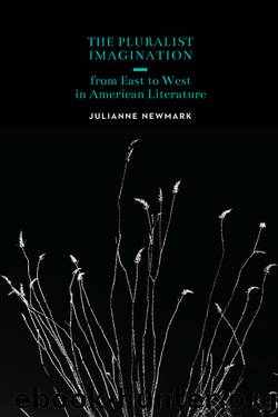 The Pluralist Imagination From East to West in American Literature by Newmark Julianne