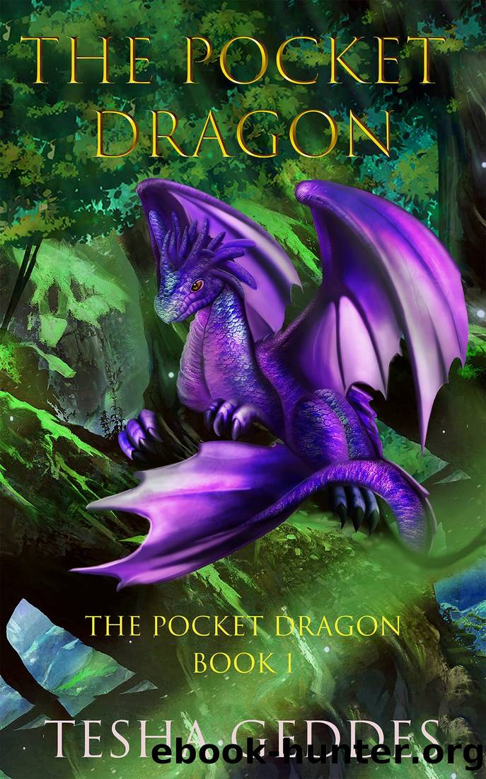 The Pocket Dragon: The Pocket Dragon: Book 1 by Tesha Geddes
