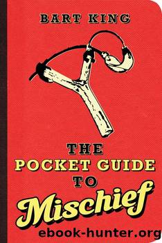 The Pocket Guide to Mischief by Bart King