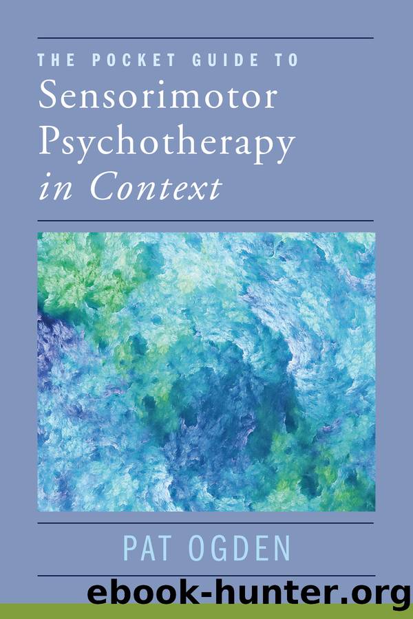 The Pocket Guide to Sensorimotor Psychotherapy in Context (Norton Series on Interpersonal Neurobiology) by Pat Ogden