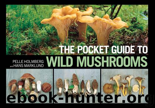 The Pocket Guide to Wild Mushrooms by Pelle Holmberg