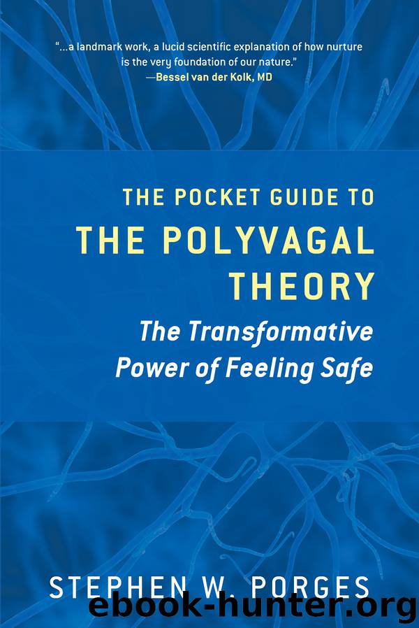 The Pocket Guide to the Polyvagal Theory by Stephen W. Porges