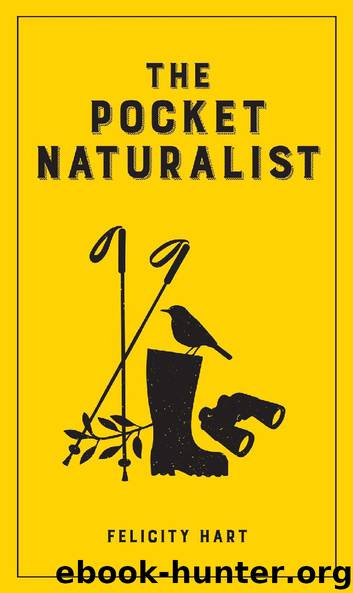 The Pocket Naturalist by Felicity Hart
