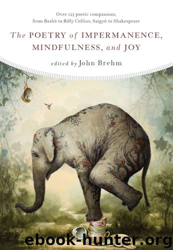 The Poetry of Impermanence, Mindfulness, and Joy by John Brehm