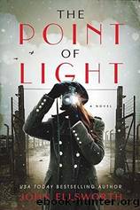 The Point of Light by John Ellsworth
