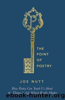The Point of Poetry by Joe Nutt