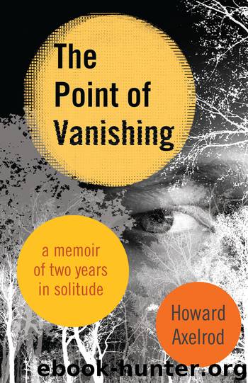 The Point of Vanishing by Howard Axelrod