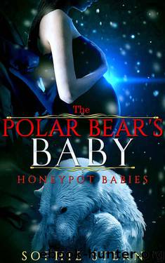 The Polar Bear's Baby (Honeypot Babies Book 1) by Sophie Stern