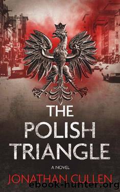 The Polish Triangle: A Jody Brae Mystery (Port of Boston Crime Series Book 3) by Jonathan Cullen