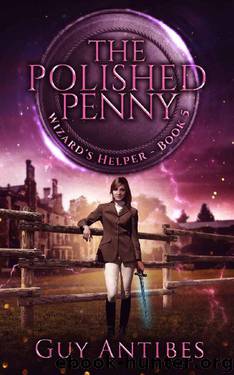 The Polished Penny (Wizard's Helper Book 5) by Guy Antibes