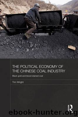 The Political Economy of the Chinese Coal Industry: Black Gold and Blood-Stained Coal by Tim Wright