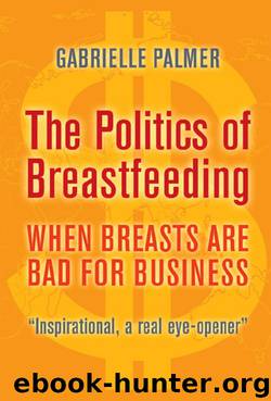 The Politics of Breastfeeding by Gabrielle Palmer