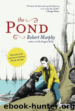 The Pond by Robert Murphy