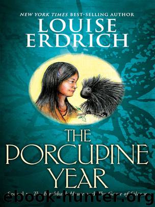 The Porcupine Year by Louise Erdrich