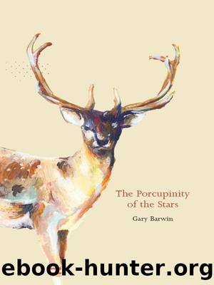 The Porcupinity of the Stars by Gary Barwin
