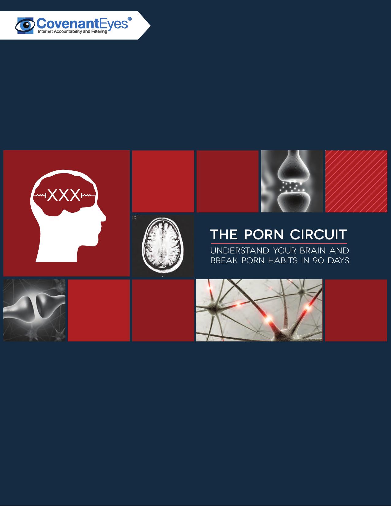 The Porn Circuit: Understand Your Brain and Break Porn Habits in 90 Days by Sam Black