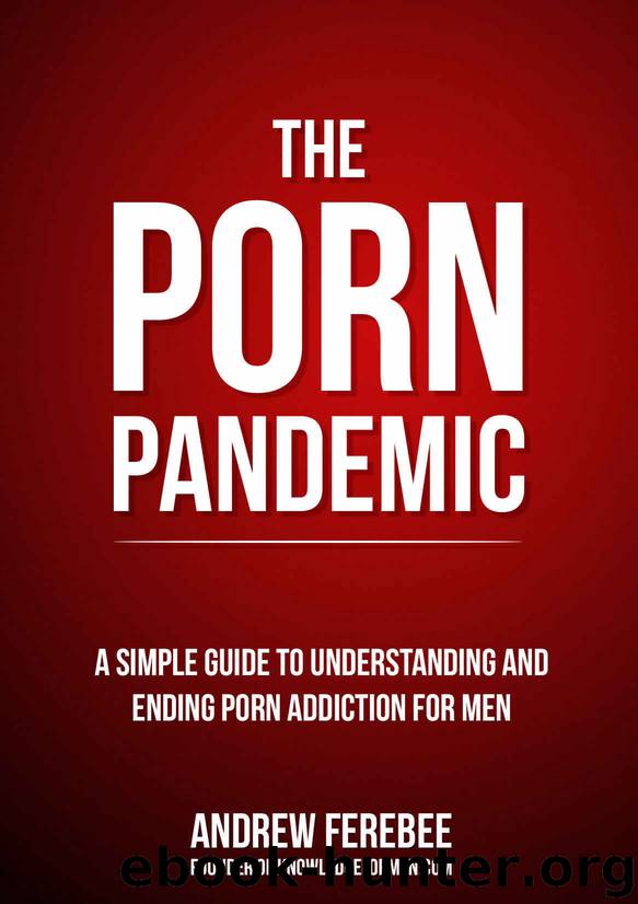 The Porn Pandemic: A Simple Guide To Understanding And Ending Pornography Addiction For Men by Andrew Ferebee