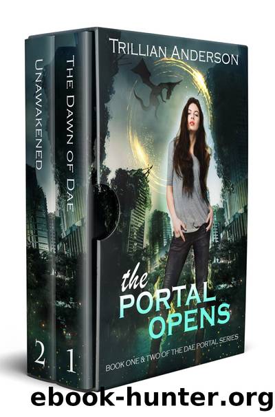 The Portal Opens by Trillian Anderson