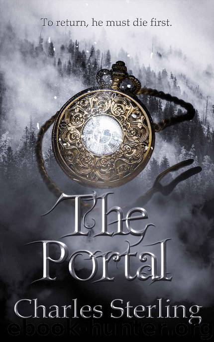 The Portal by Charles Sterling