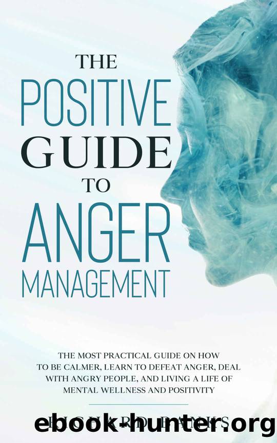 The Positive Guide to Anger Management by Banks Richard